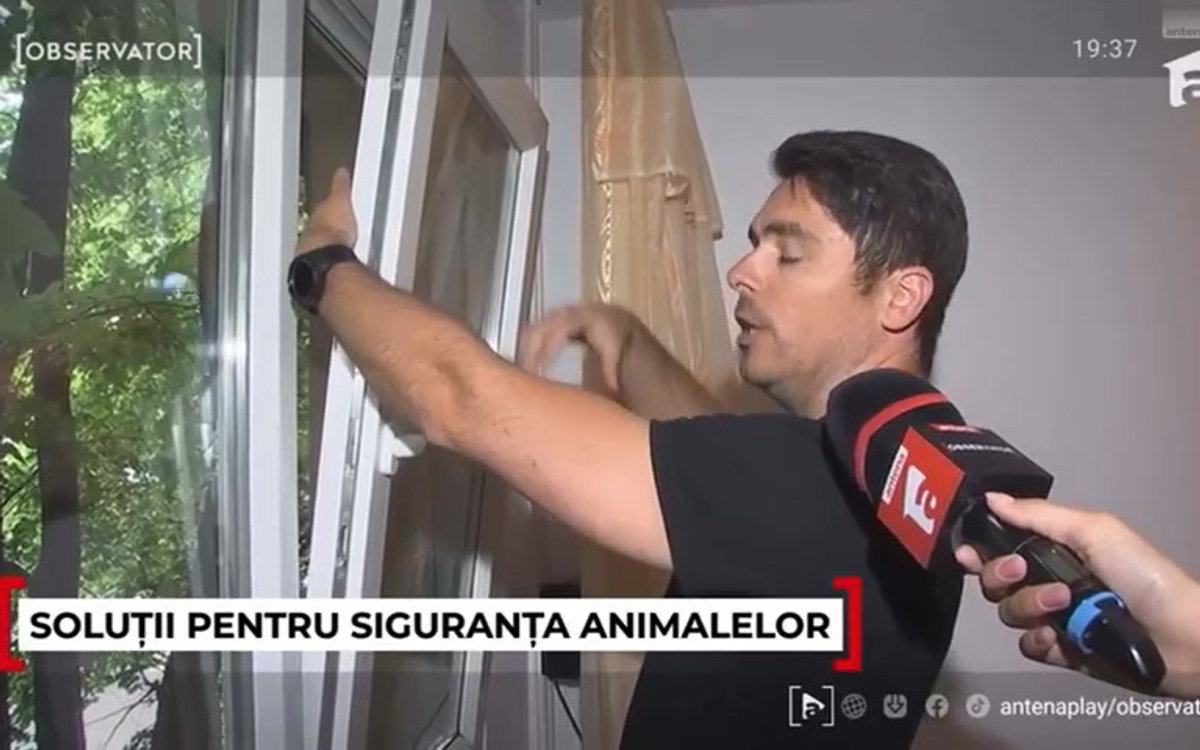 Reportaj Observator Antena 1 — montajul unei cuști exterioare Pisici la Ferestre