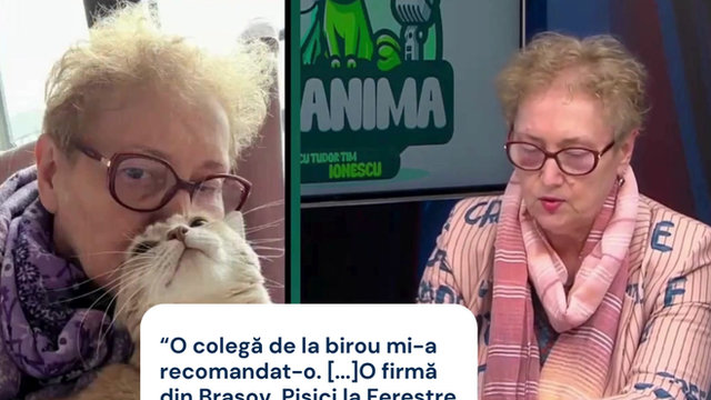 DC News — Renate Weber, Avocatul Poporului, client Pisici la Ferestre