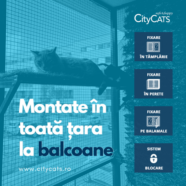 Închidere completă de balcon cu plasă de protecție pentru pisici