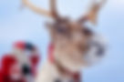 visit-rovaniemi-love-santa-claus-web-opt-9.jpg