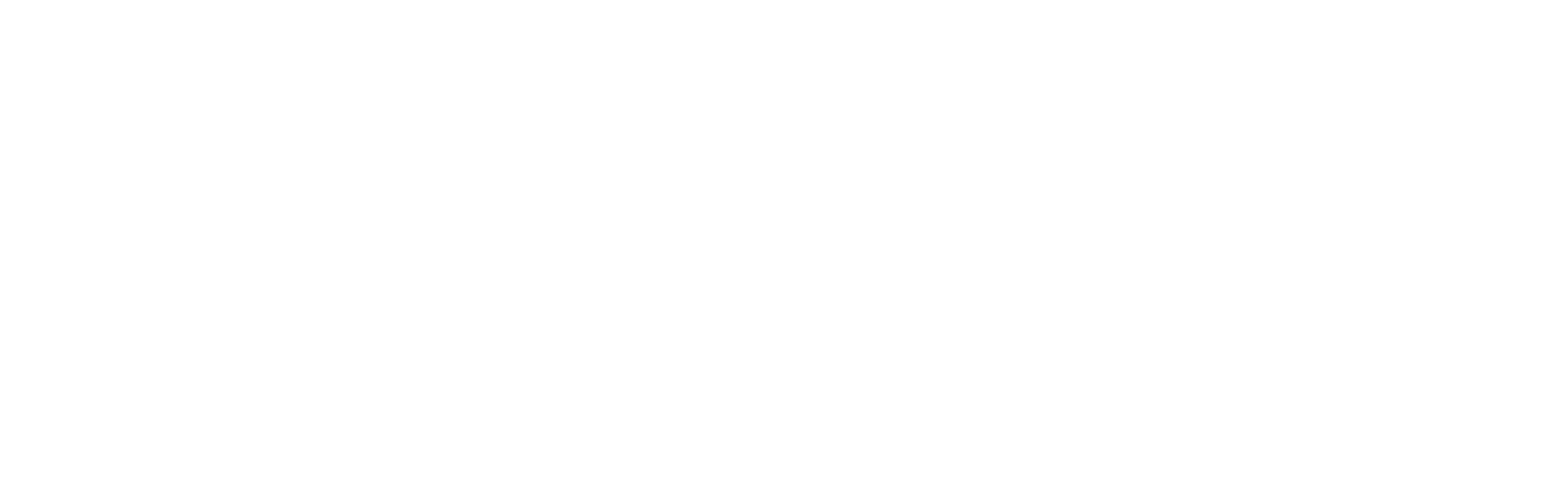 White logo - no background.png