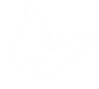 名称未設定のデザイン_edited_edited_edited.png
