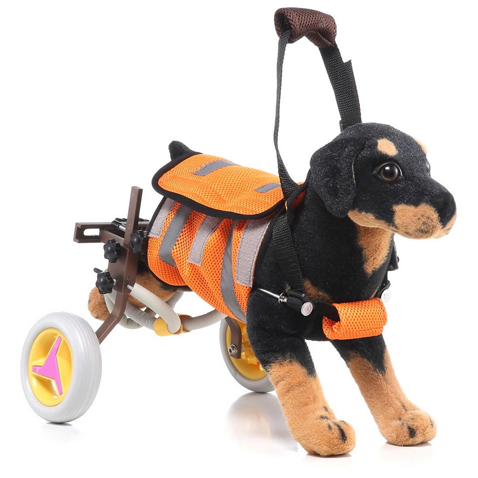 Miniatura: Cadeira de Rodas - Patas Traseiras
