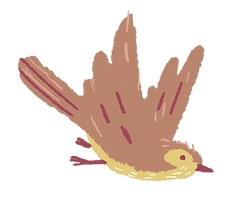 Bird.png