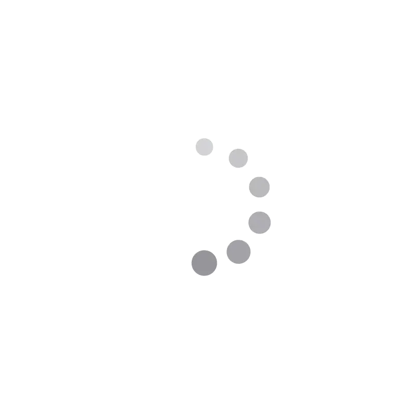 loading.webp