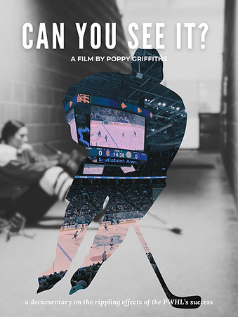 CAN YOU SEE IT.png