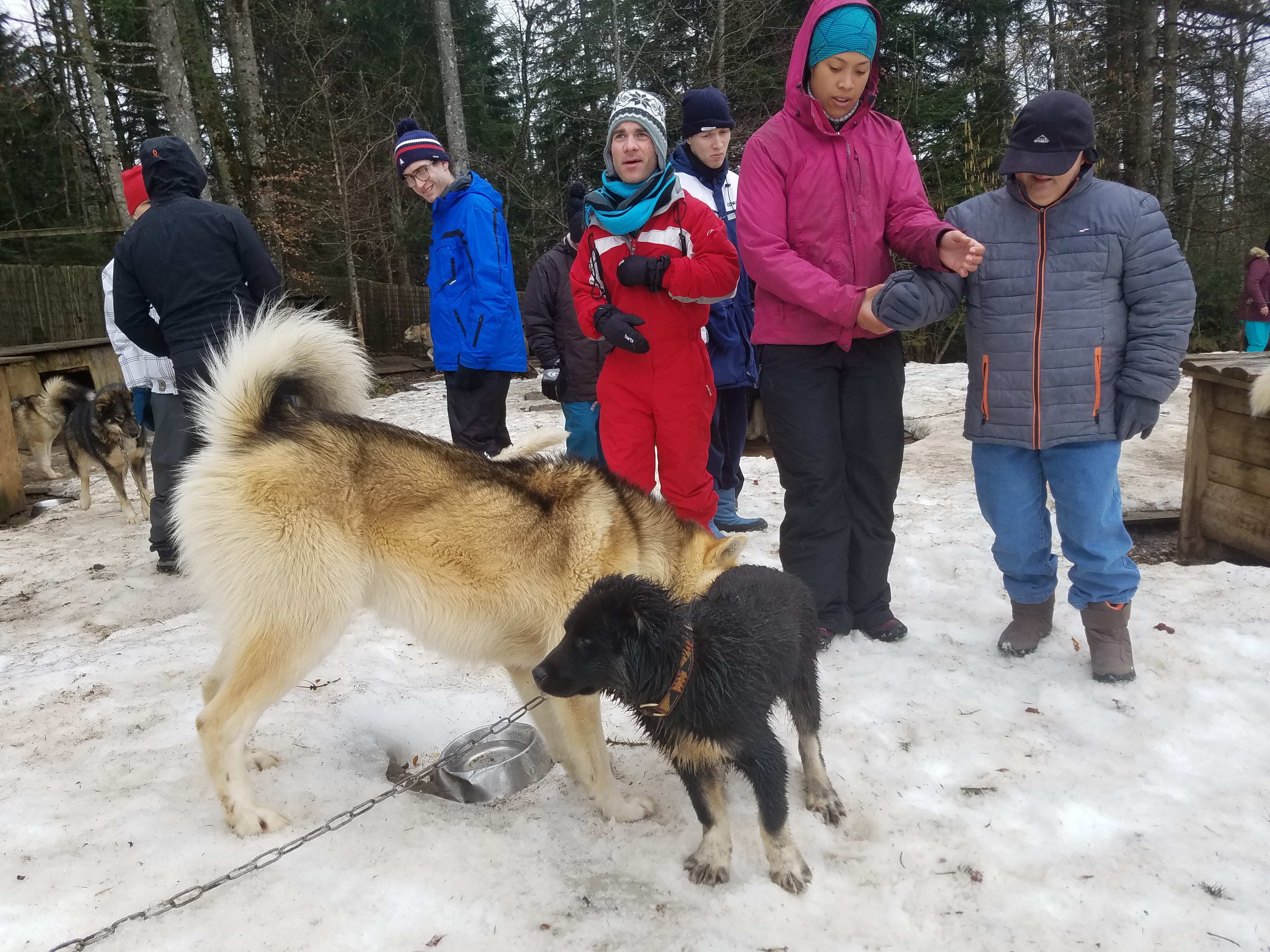 20190309_105535.jpg