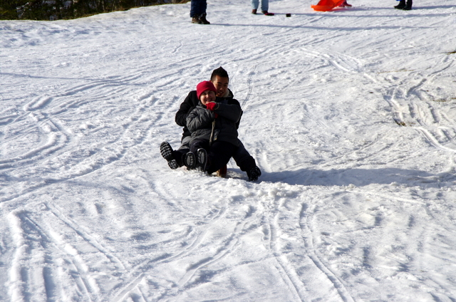 IMGP0335.JPG