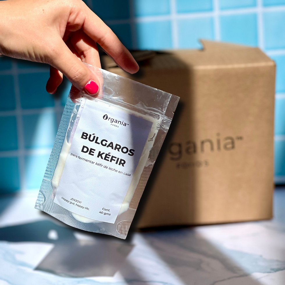 Búlgaros de kéfir de leche