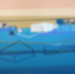 Desired Shelter #2jpg