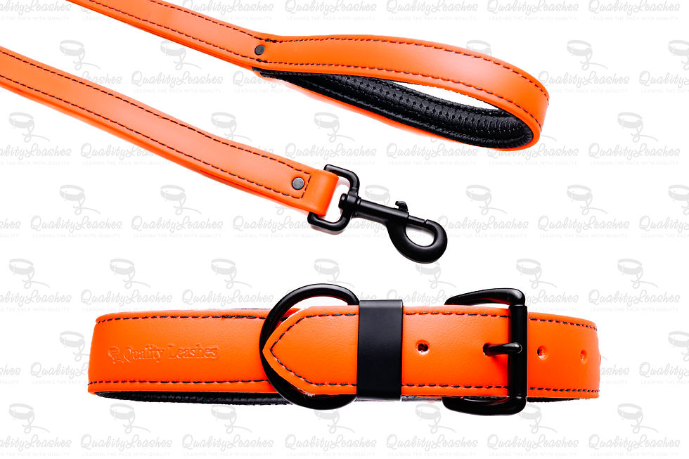 Thumbnail: Designer Biothane Leash