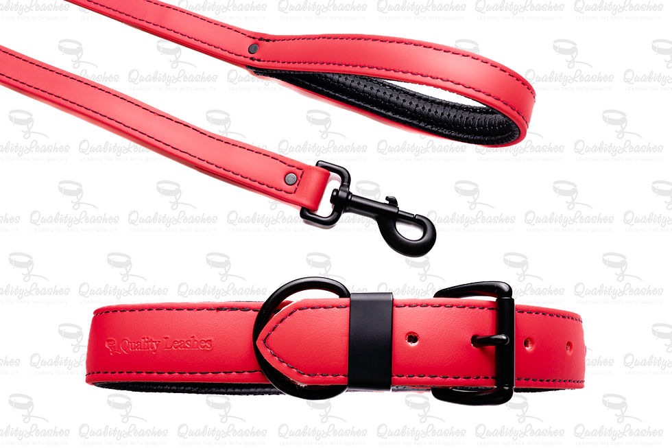 Thumbnail: Designer Biothane Leash