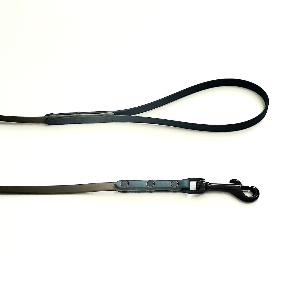 Thumbnail: Biothane Combo Leashes