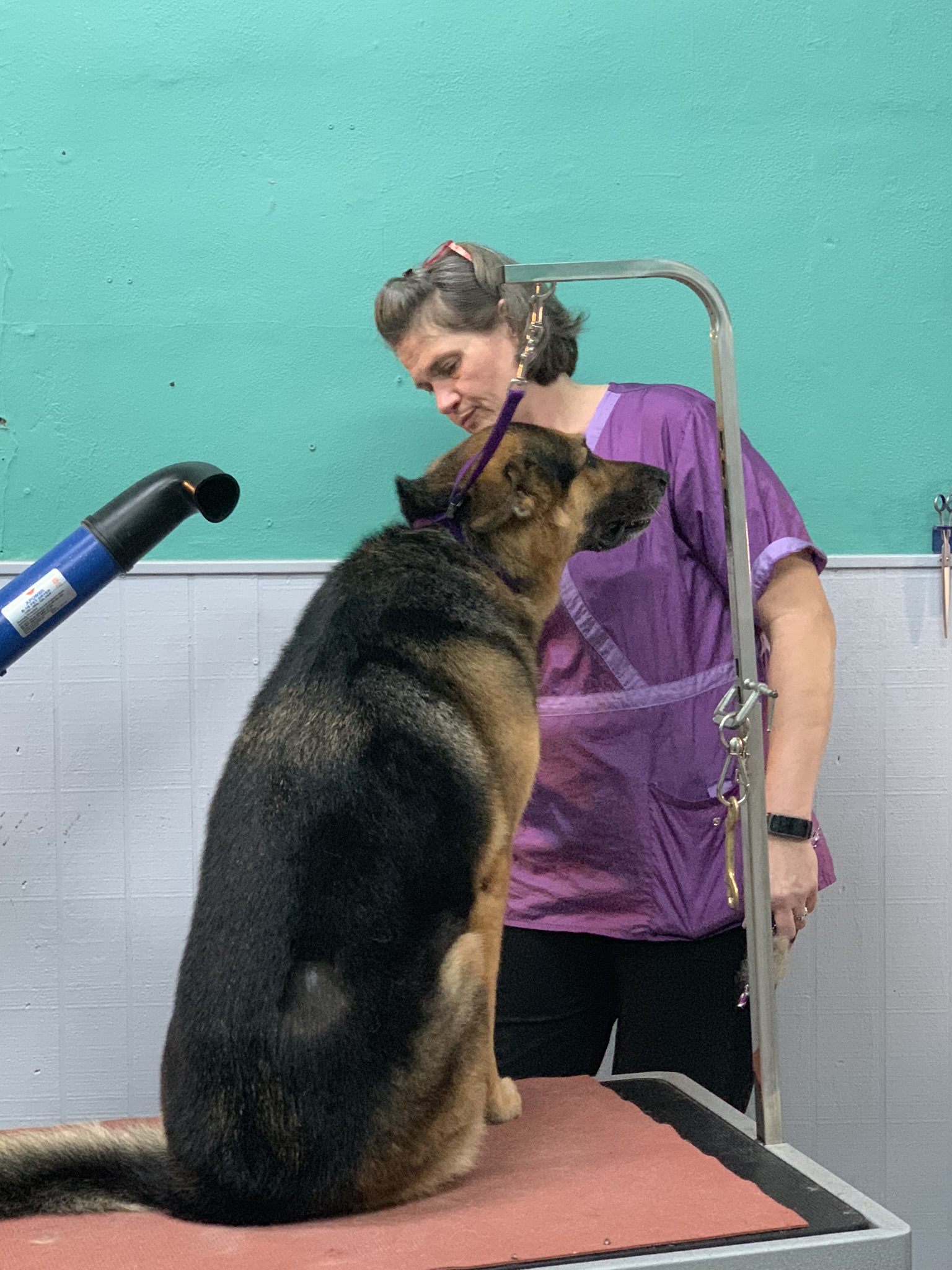 Beach Groomers Pet Salon