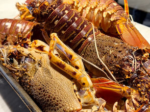 awwista lobster at risette