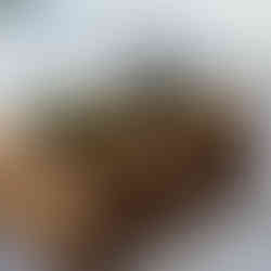 monkfish cheek taco at tmun