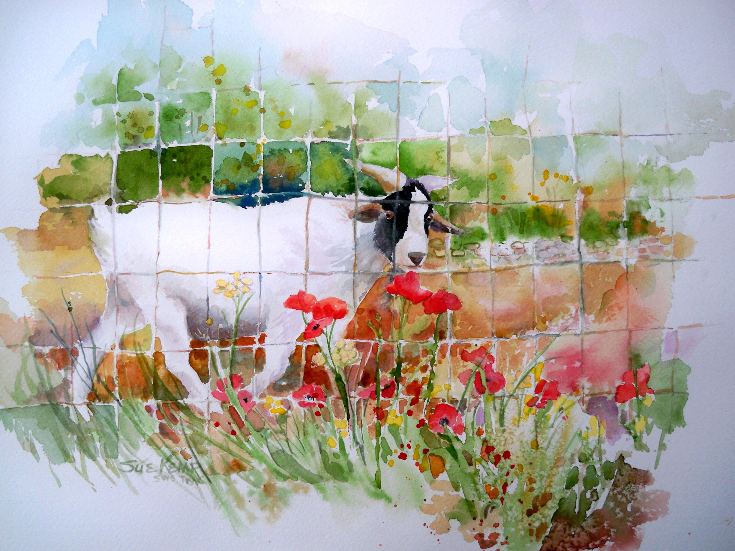 "The Other Side of the Fence" ©