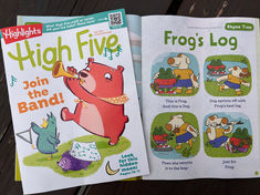 Frog's Log