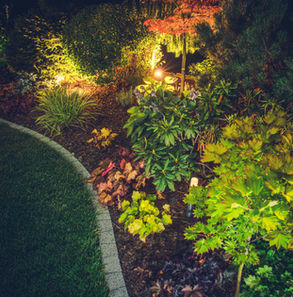 illuminated-backyard-garden-2022-12-16-11-50-41-utc.jpg
