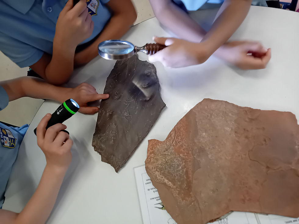 Retours en photos sur la Fête de la science et les actions #Arkéoflix