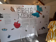 Partenariat : Exposition Ephémère à Saint-Léons