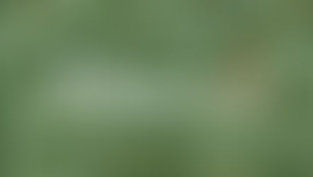 Retour sur l'année 2025...