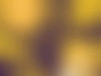 PAO#4 : Découverte du métier de libraire dans les écoles