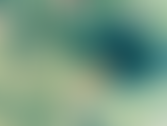 Retrouvez les Oiseaux d'Anaïs Massini à Morlhon-le-Haut (12)