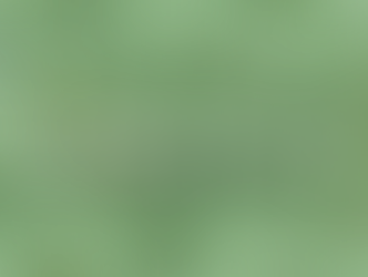 Retour sur l’année 2023…