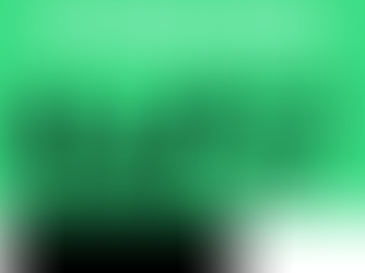 Accompagnement : Etabli#14 avec l'ADIE