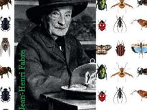 Partenariat : Les Journées du bicentenaire de Jean-Henri Fabre