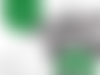 PAO7 : Poursuite avec le CPIE et une fresque à Millau