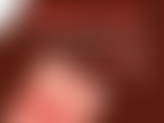 Exposition Indignez-vous à Millau