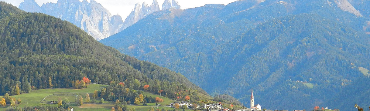 DSCN8138.JPG