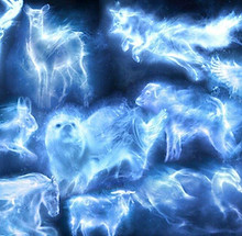 tumblr_static_filename_2048_v2.jpg