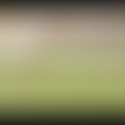 Top Gol&Assist 18^ Campionato Primavera