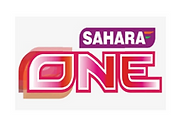 South asian tv channel