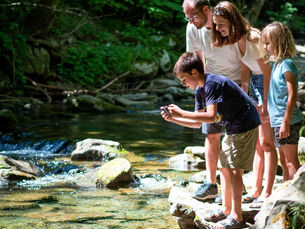 Understanding Water Quality: Simple Visual Clues and Key Terms Everyone Should Know