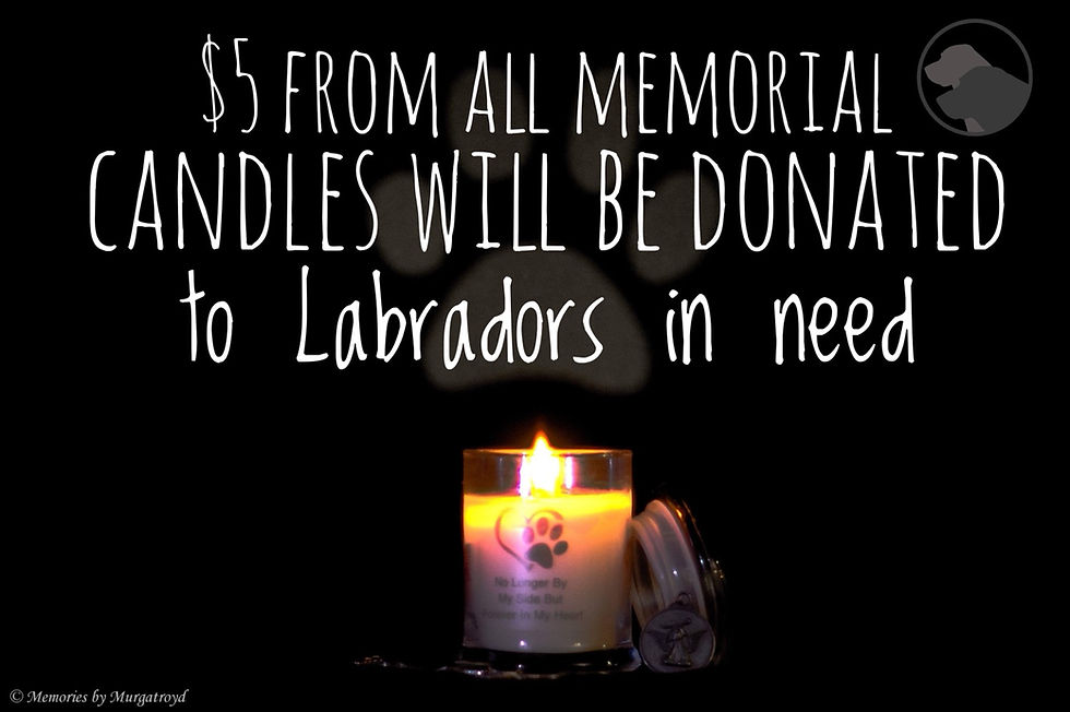 Thumbnail: Pet Memorial Candle