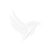 transparent eagle.png