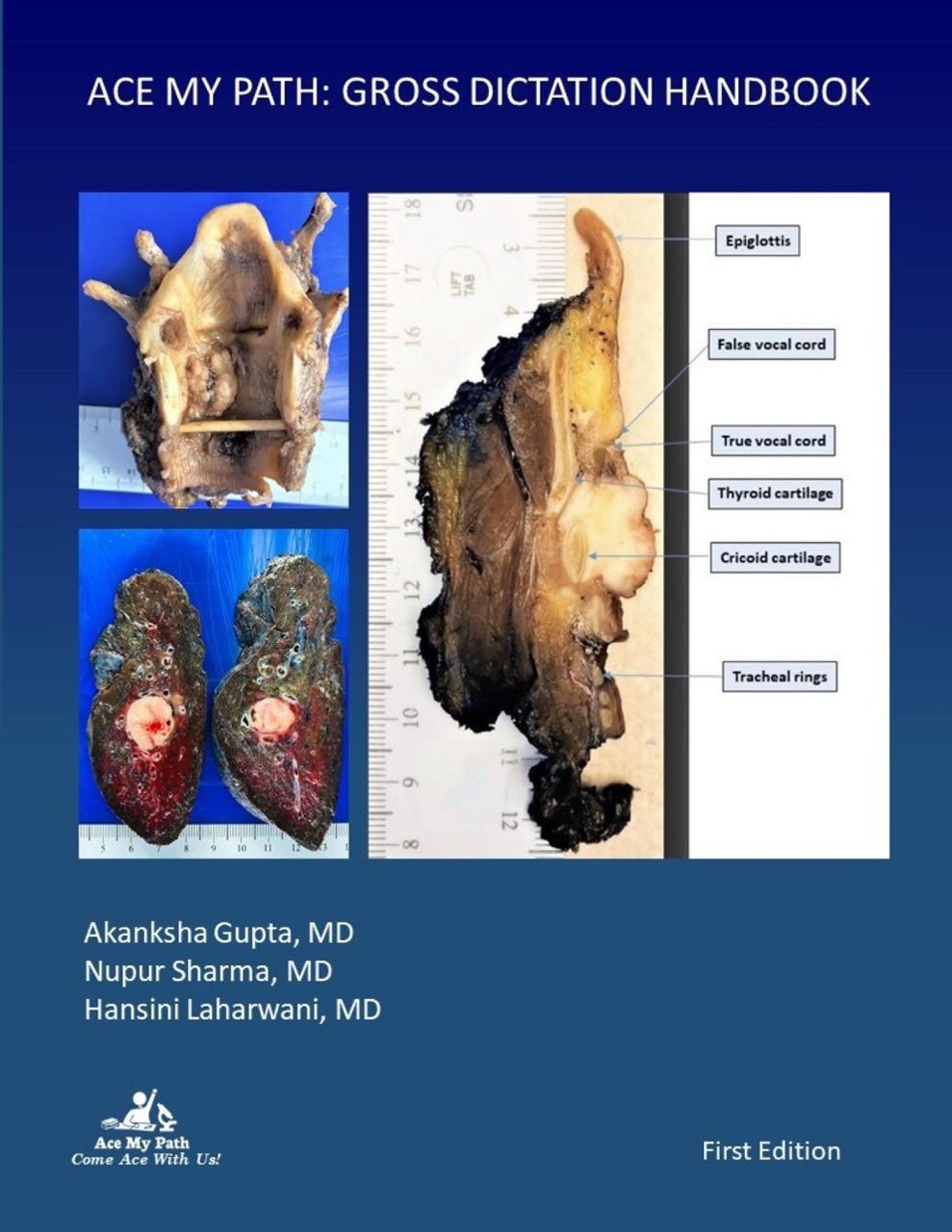 Gross Dictation Handbook — Second Edition book cover