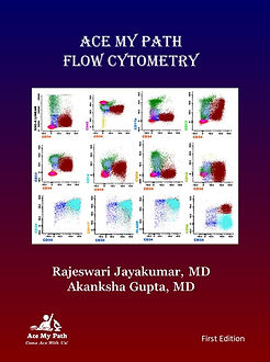 Cover - Flow book Rajee front (1).jpg