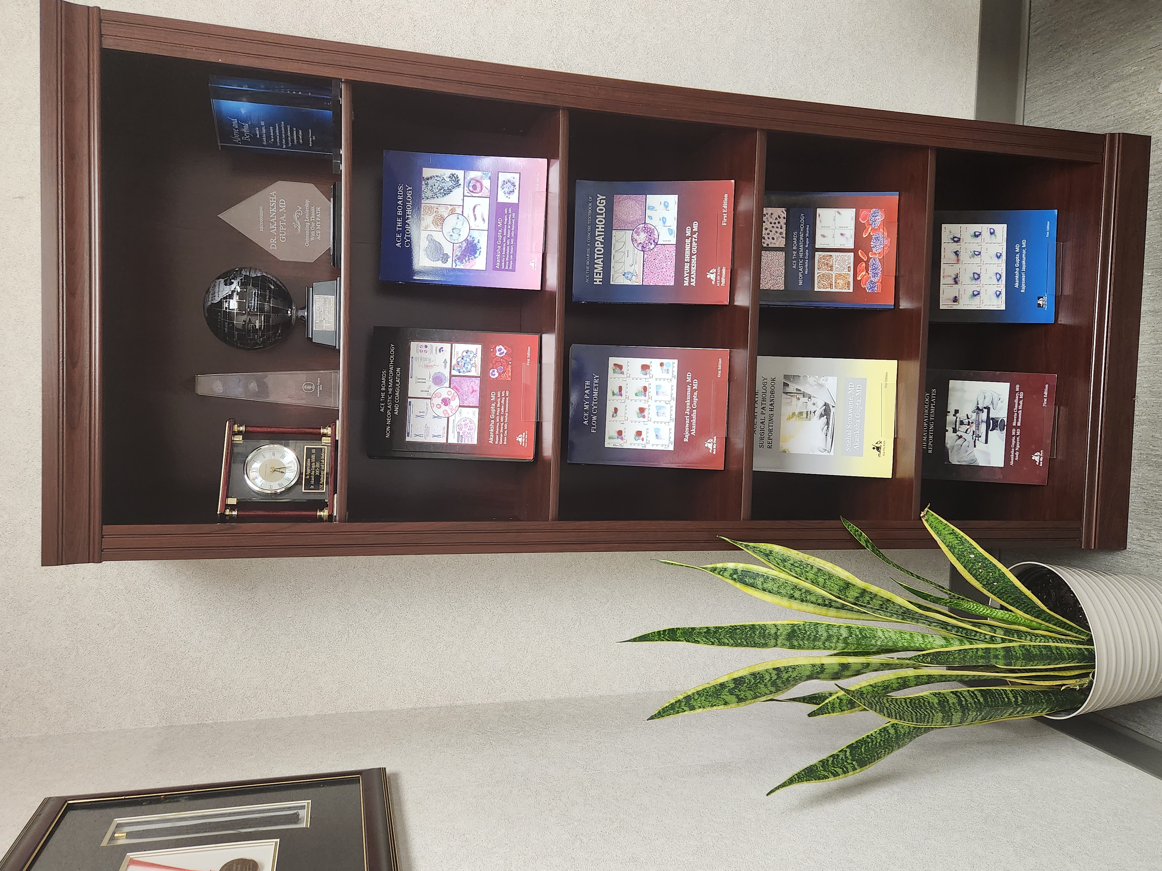 Photograph of the award display published in the professional CV