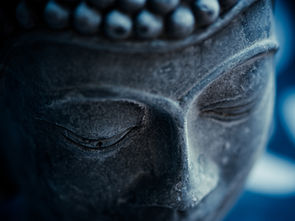 APO makro lens teknolojisi nedir?