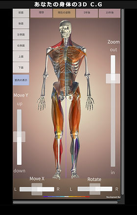 公式】B.C Lab｜姿勢分析・AI姿勢測定システム｜CONNECT AI
