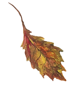 molly leaf_Erin edit cutout 2 copy_edite