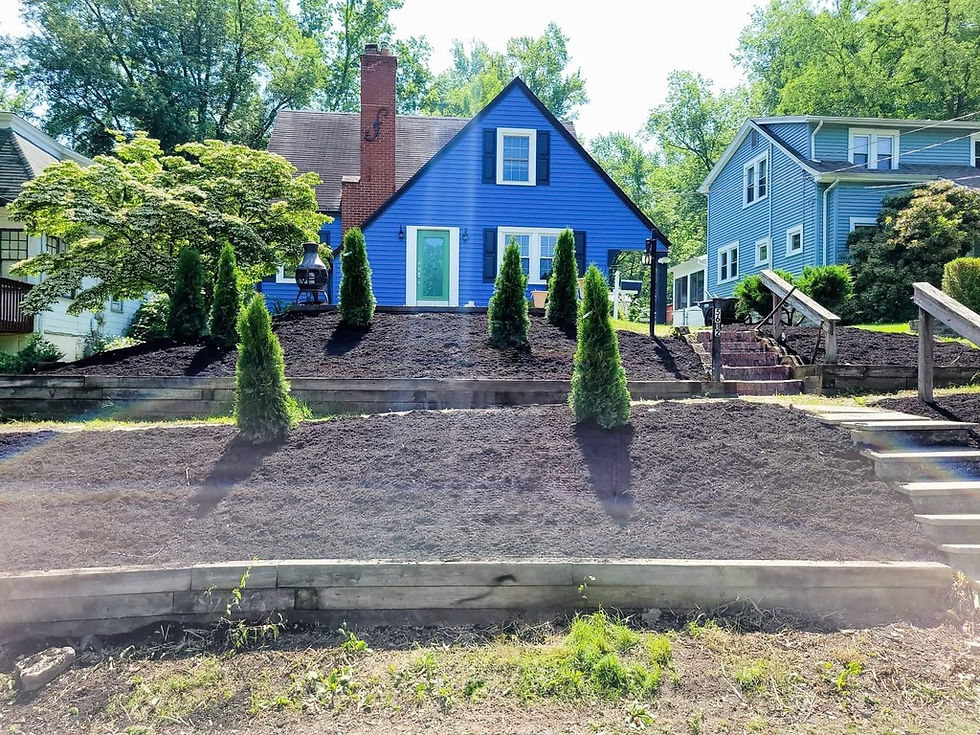 Landscaping Planting and Walkway Installation Final Result