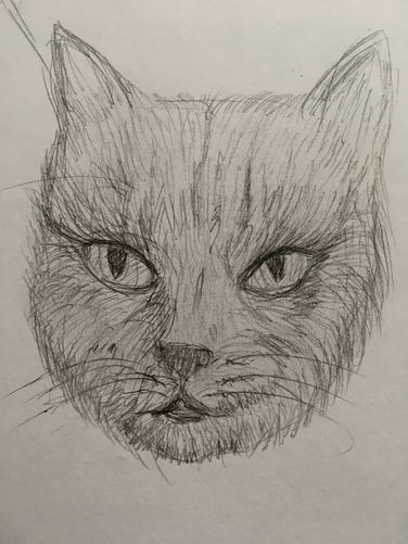 Day Three Hundred and Eleven