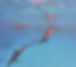 03980ac6-fb95-43c6-88ce-badd6dfea808.jpeg