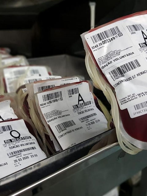 Testemunhas de Jeová: STF decide que recusa a transfusão de sangue é constitucional